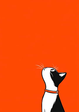 Cat looking up on orange background