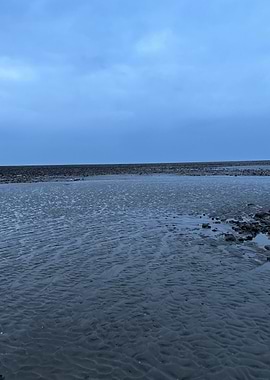 Gloomy Beach Landscape