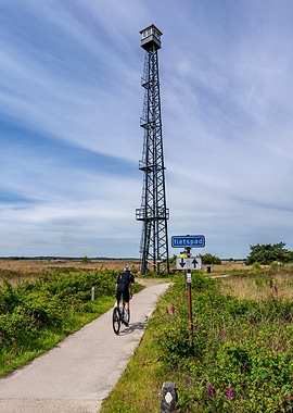 Cyclist on path with observation tower in Veluwezoom National Parl