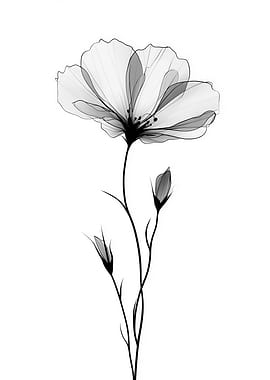 Elegant Black and White Flower Illustration