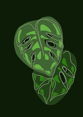 Monstera Leaves Illustration