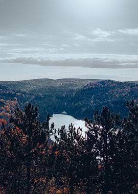Autumn Lake View
