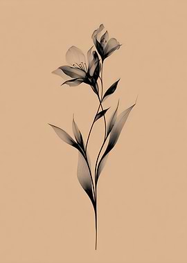 Elegant Floral Line Art on Beige