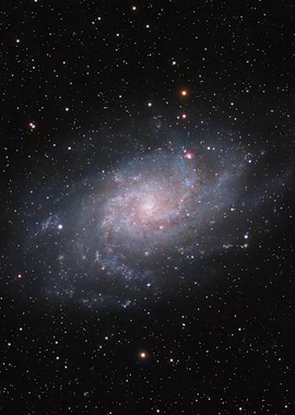 M33 - The Triangulum Galaxy