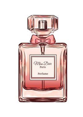 Miss Dior Paris Perfume Illustration