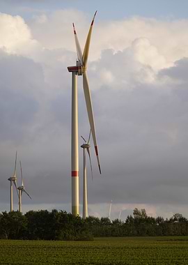Wind Turbines in a Field