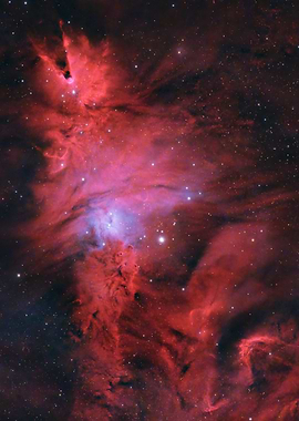 NGC2264 - The Christmas Tree and Cone Nebula