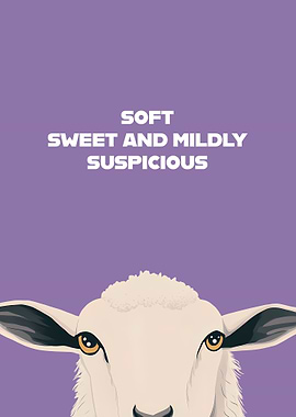 Suspicious Sheep