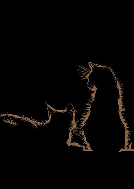 Two Cats Silhouette