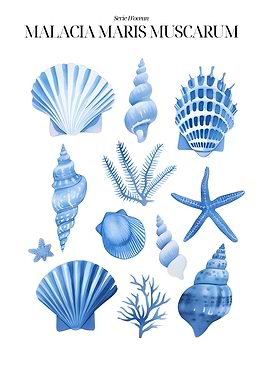Malacia Maris Muscarum: Blue Sea Life