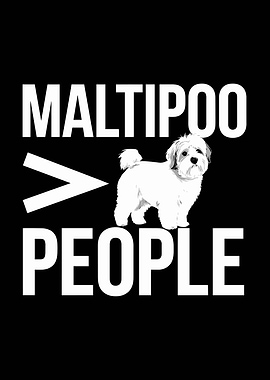 Maltipoo over people