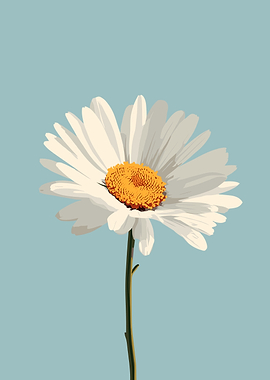 Daisy Flower Illustration