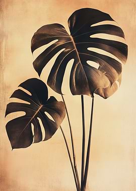 Monstera Vintage Botanical Wall Art | Monstera Plant Sepia Tone