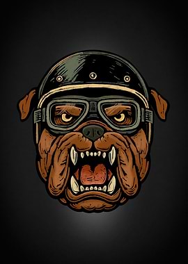Bulldog Biker