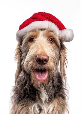Otterhound Dog with Santa Hat