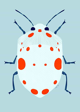 White bug beetle