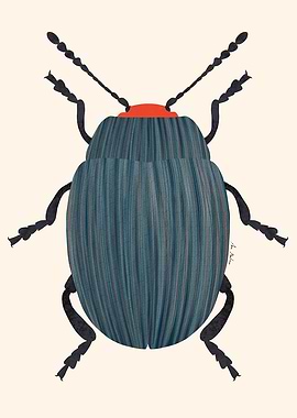 Stylized Beetle Illustration