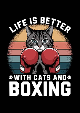 Cat Boxing