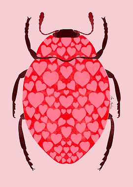 Heart-Patterned Beetle