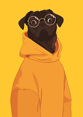Pug in Hoodie with Glasses Yellow Fashion Minimalist Art Illustration