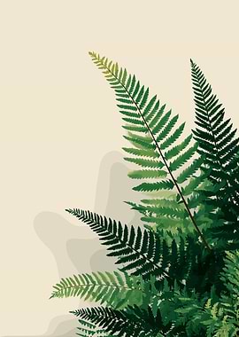 Fern Illustration