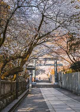 Japanese Shrine with Cherry Blossoms
