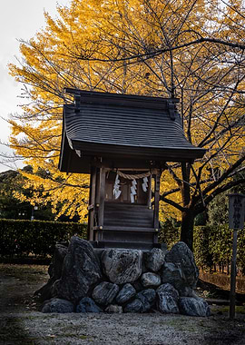 Japanese Shrine with Autumn Tree