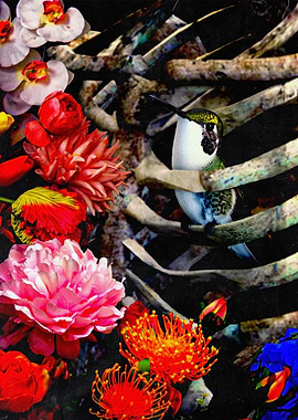 Hummingbird in Floral Ribcage