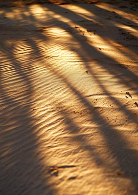 Golden Sand at Sunset with Shadows by Mediterranean