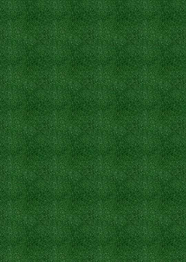 Green grass texture background