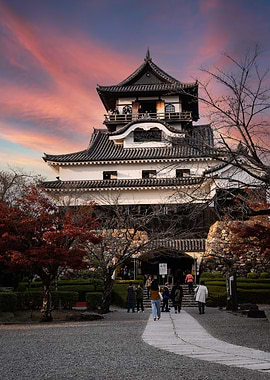 Japanese Castle at Sunset