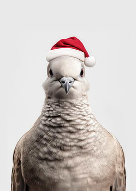 Dove with Santa Hat
