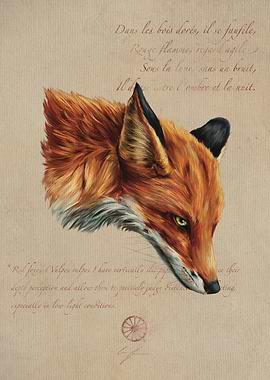 Fox Portrait