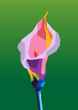 Abstract Calla Lily on Green Background
