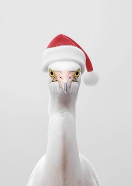 Festive Egret Bird with Santa Hat