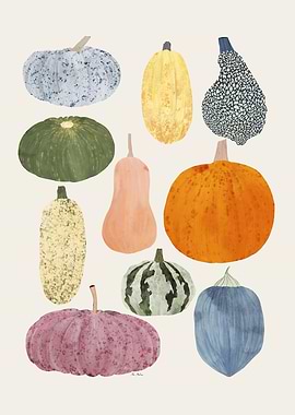Colorful Pumpkins and Gourds Illustration
