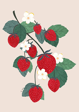 Strawberry Branch Illustration