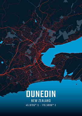 Dunedin City Map