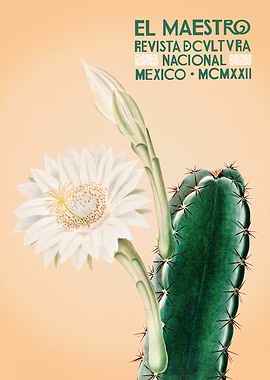 El Maestro Cactus Flower Vintage Art