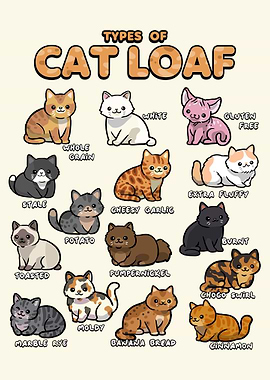 Types of Cat Loaf Illustration
