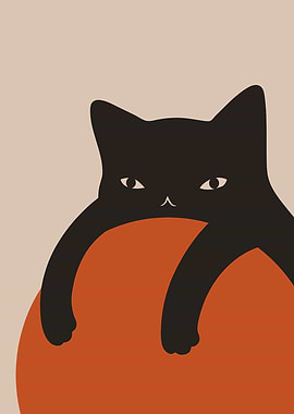 Black Cat on Orange Ball