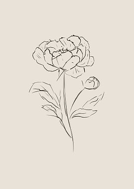 Camellia Flower Line Art