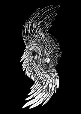 Yin Yang Wings Illustration