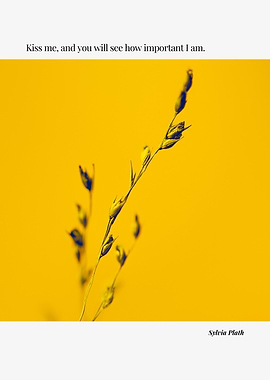 Kiss me, and you will see