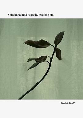 Peace and Life Quote with Plant