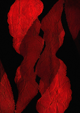 Wordless Poetry ,Abstract Red Forms on Black Background