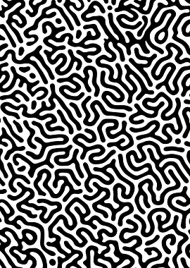 Black and White Abstract Pattern