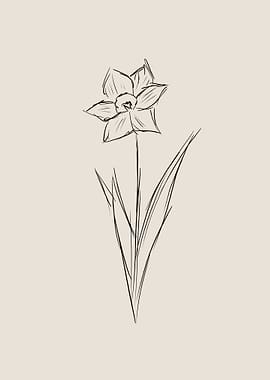 Daffodil Line Art