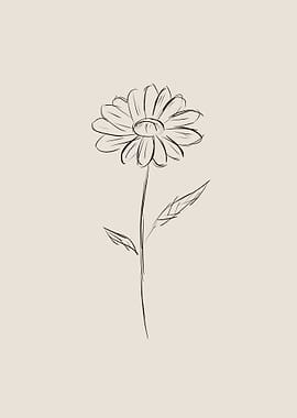 Daisy Flower Line Art