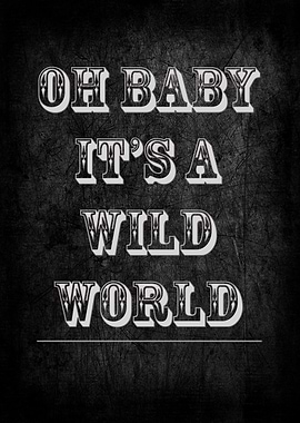 Oh Baby It's a Wild World